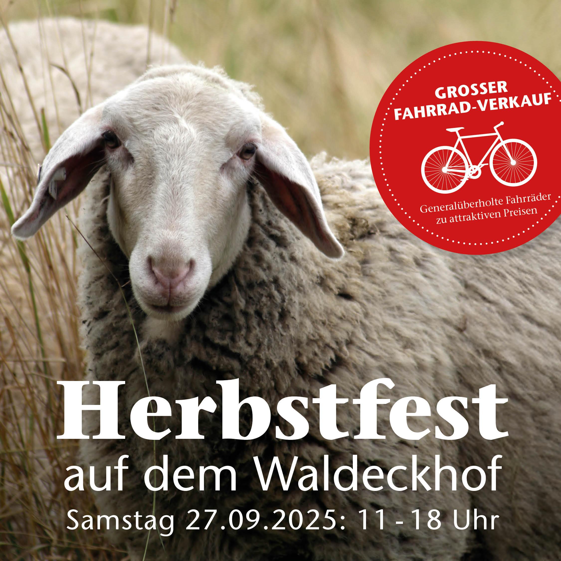 2025 09 27 Motiv Beitrag