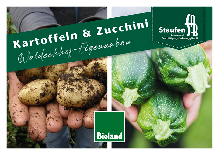 424 038 Kartoffeln Zucchini