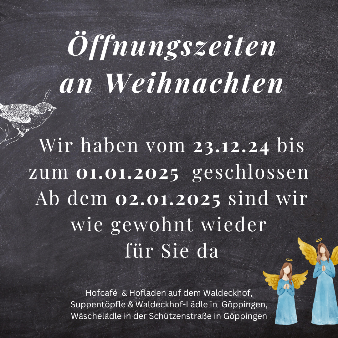 2024 11 22 web
