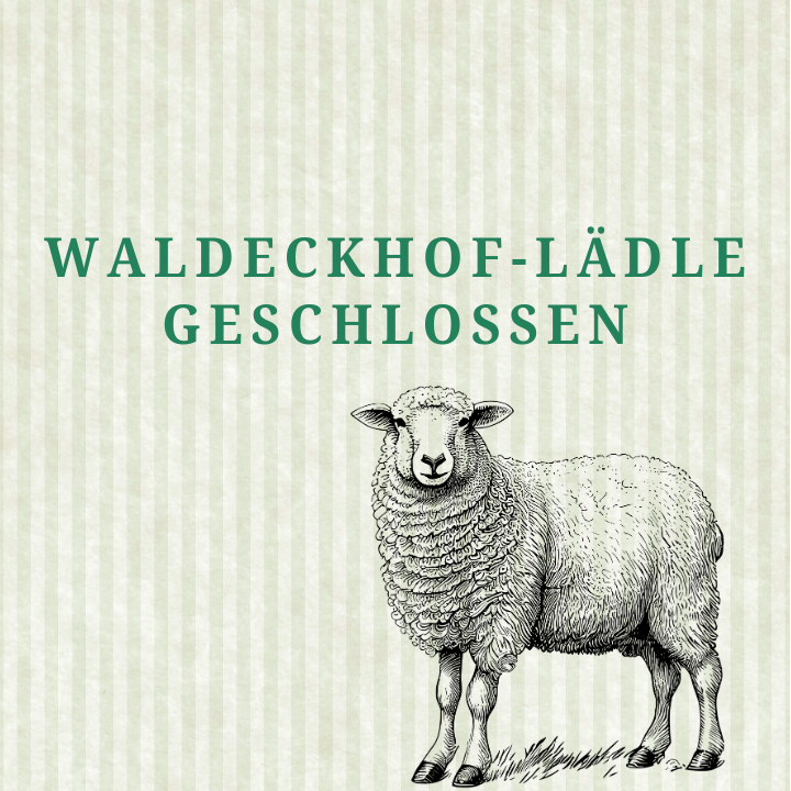 2025 09 27 Motiv Beitrag