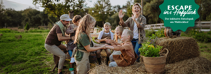 Das gesamte Team der Phönix eG 2017